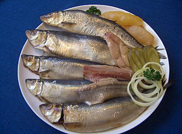Matjes